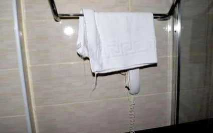 hotel alish