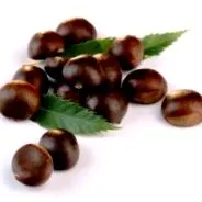 ízületi