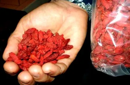 goji