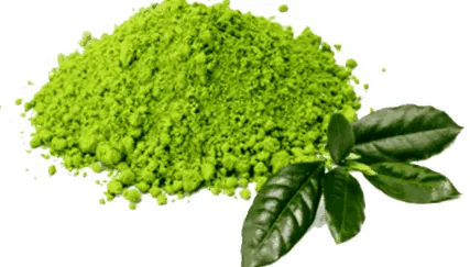 Yerba Mate kivonat