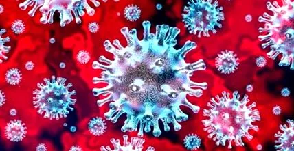 national influenza