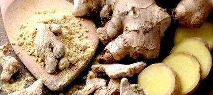 hogy gingerol media