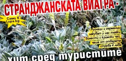 viagrában