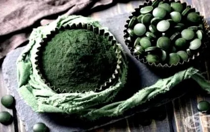 csoportjai spirulina