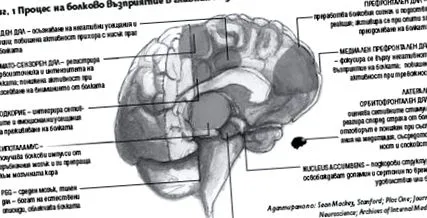 tempalgin infopharma