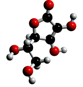 emberi test aszkorbinsav