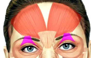 jane