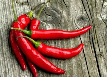 csípős paprika