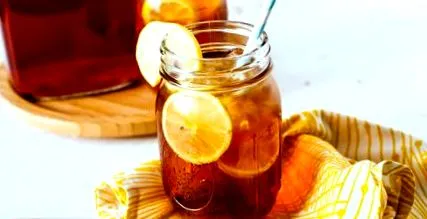 kombucha kombucha