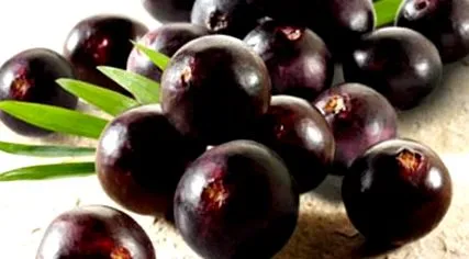 berry acai