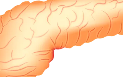 amelyet