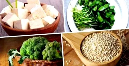 fehérjében étlapjához