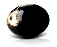 acai fogyás