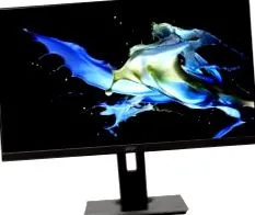 acer acer
