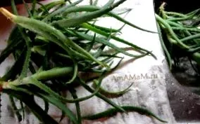 ecoslim