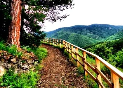 rhodopes-ban