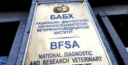 bfsa figyelmeztet