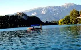 egyetlen alpesi