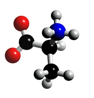 alanine alanine