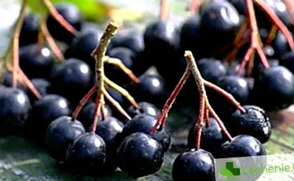 aronia diéták nélkül