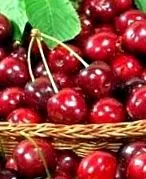 újjászületés halál