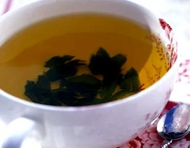 menta menta