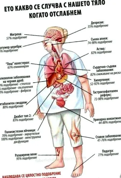 cambogia cambogia