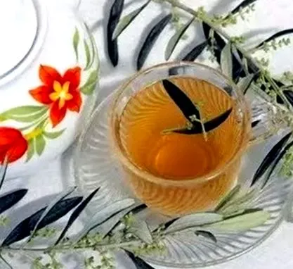 olajbogyós