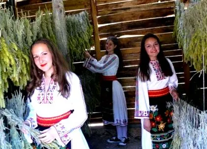 mursal minden