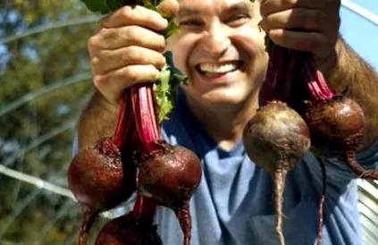 számos számos