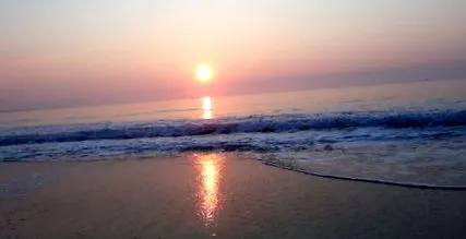 burgas egyetlen