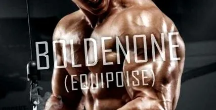Boldenone Undecylenate izomtömeg
