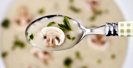 tejjel gomba
