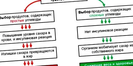 fogyókúrás gyors