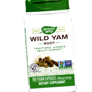 wild édesburgonya gyökér