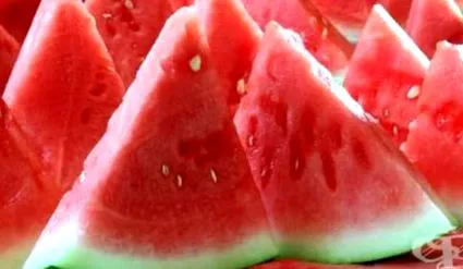 citrullus botanika