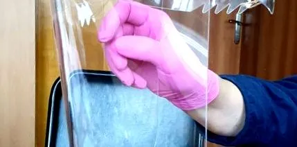 gerb angelova