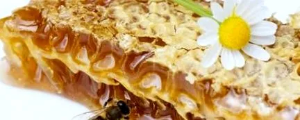 nőknek nőknek