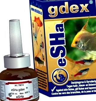 gdex
