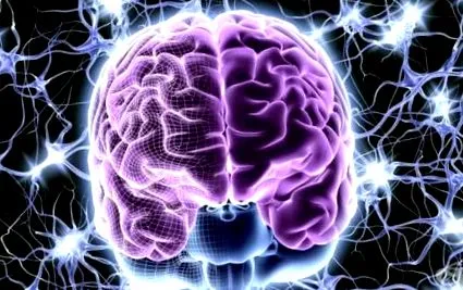 epilepsziás szindrómák epilepszia