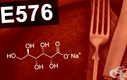 e576 e576