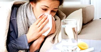 influenza melyik