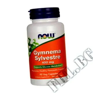 Gymnema Sylvestre
