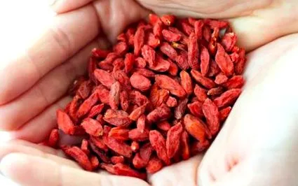 nyárra goji