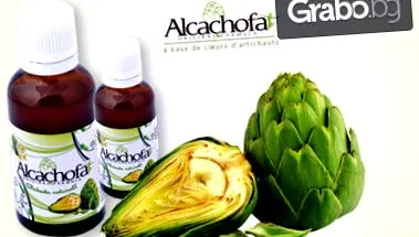 partners alcachofa