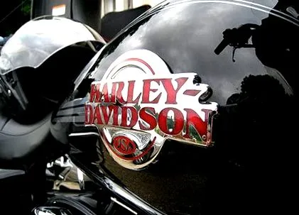 harley szabad