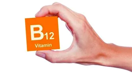 ételek b12-vitaminban