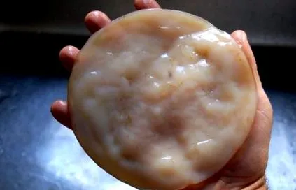 kombucha hogyan