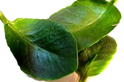 források