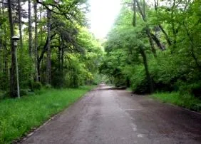 javaslatokkal
